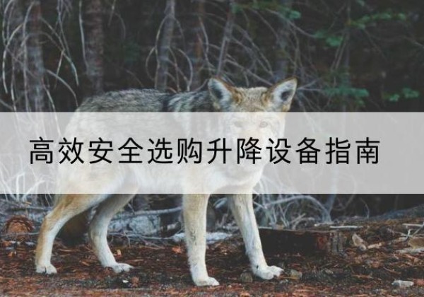 宜春升降货梯厂家推荐-*安全选购升降设备指南
