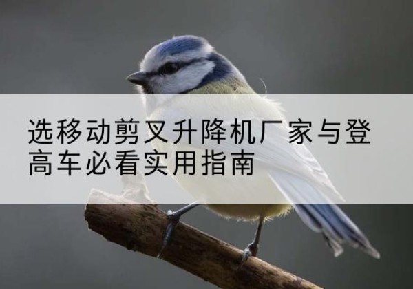 宜春电动升降机厂家-选移动剪叉升降机厂家与登高车必看实用指南