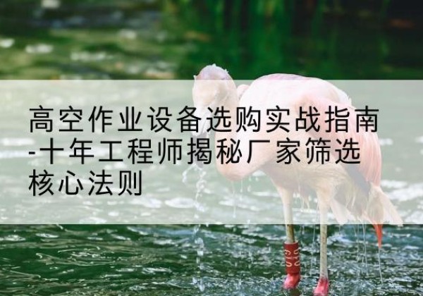 宜春剪叉式升降机厂家-高空作业设备选购实战指南-十年工程师揭秘厂家筛选核心法则